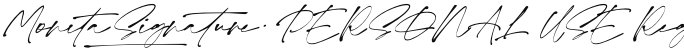 Monita Signature PERSONAL USE Regular Italic