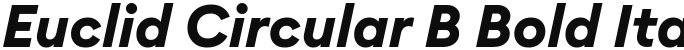 Euclid Circular B Bold Italic