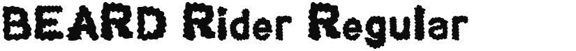 BEARD Rider font download