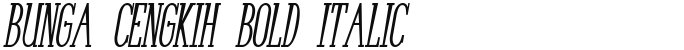 Bunga Cengkih Bold Italic