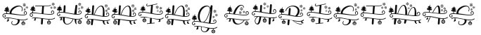 Stunning Christmas Monogram Regular