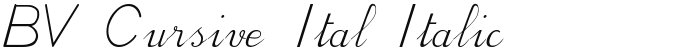 BV Cursive Ital Italic