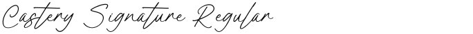 Castery Signature Regular