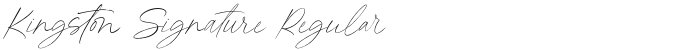 Kingston Signature Regular