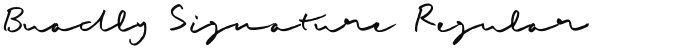 Buadly Signature Regular