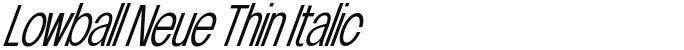 Lowball Neue Thin Italic