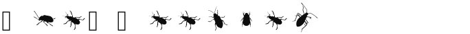 The Beetles
