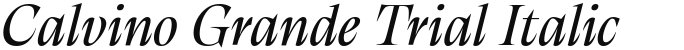 Calvino Grande Trial Italic