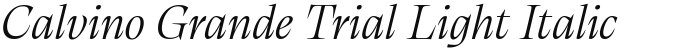 Calvino Grande Trial Light Italic