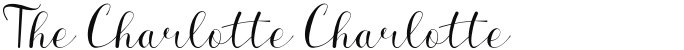 The Charlotte Charlotte