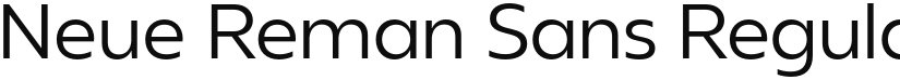 Neue Reman Sans font download