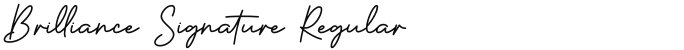 Brilliance Signature Regular