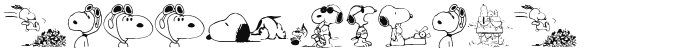 Snoopy Dings