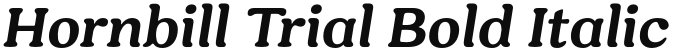 Hornbill Trial Bold Italic