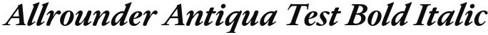 Allrounder Antiqua Test Bold Italic