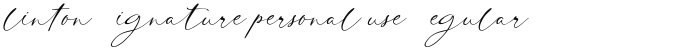 Clinton Signature personal use Regular