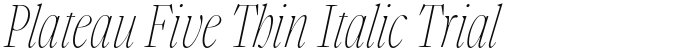 Plateau Five Thin Italic Trial