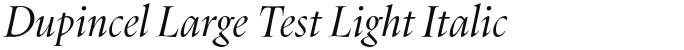 Dupincel Large Test Light Italic