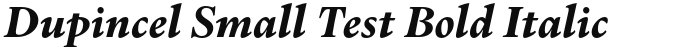 Dupincel Small Test Bold Italic
