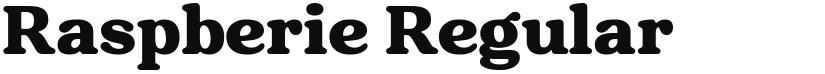 Raspberie font download