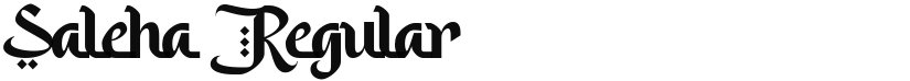 Saleha An Arabic Font Style font download
