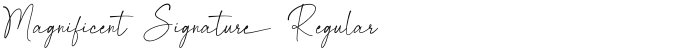 Magnificent Signature Regular