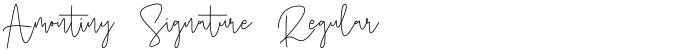 Amontiny Signature Regular