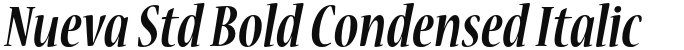 Nueva Std Bold Condensed Italic