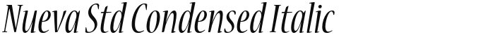 Nueva Std Condensed Italic