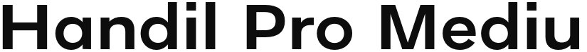 Handil Pro font download