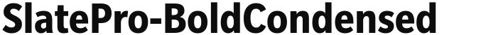 SlatePro-BoldCondensed