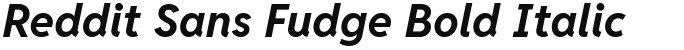 Reddit Sans Fudge Bold Italic