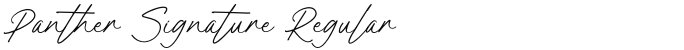Panther Signature Regular