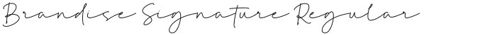 Brandise Signature Regular