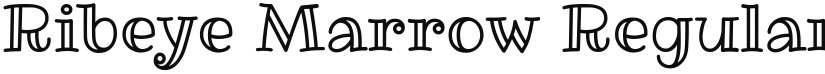 Ribeye Marrow font download