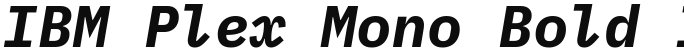 IBM Plex Mono Bold Italic