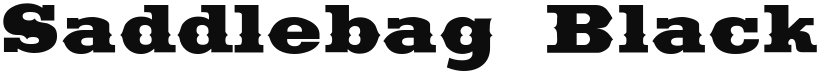 Saddlebag font download