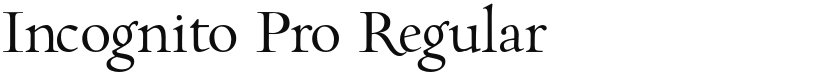 Incognito Pro font download
