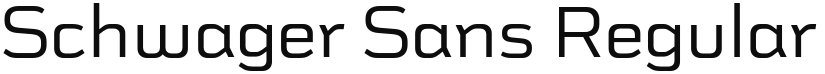 Schwager Sans font download