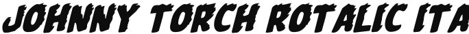 Johnny Torch Rotalic Italic