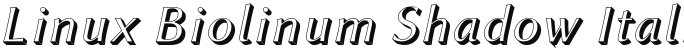 Linux Biolinum Shadow Italic