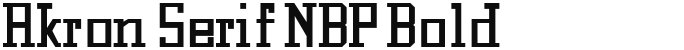 Akron Serif NBP Bold