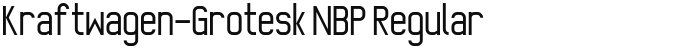 Kraftwagen-Grotesk NBP Regular