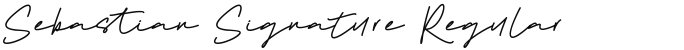 Sebastian Signature Regular
