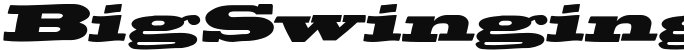 BigSwingingSlabS Medium Italic