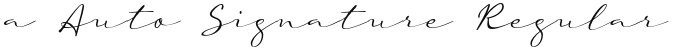 a Auto Signature Regular
