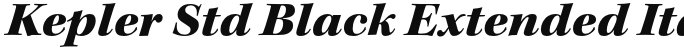 Kepler Std Black Extended Italic Subhead