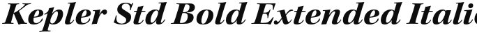 Kepler Std Bold Extended Italic Subhead