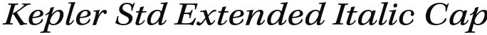 Kepler Std Extended Italic Caption