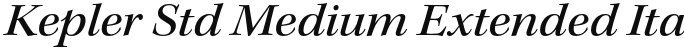 Kepler Std Medium Extended Italic Subhead